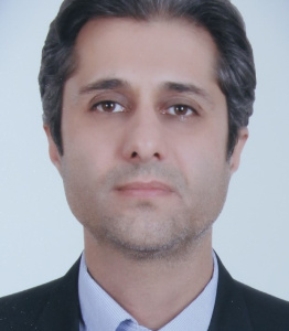 حمیدرضا فرحی عراقی