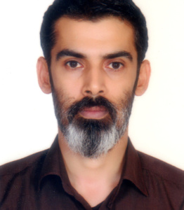 مجتبی دولت دوست
