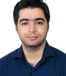 محسن حبیبی