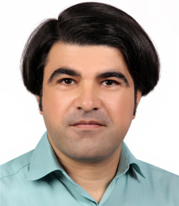 سید مرتضی سبزقبا
