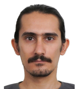 بابک صفری