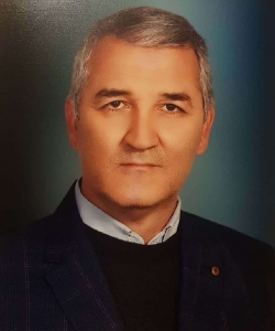 محمد محمودی اصل
