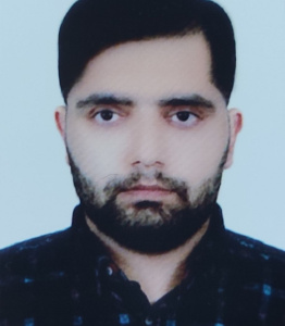 محمد جواد میراولیایی