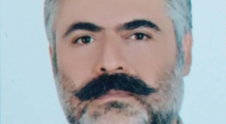 امیر قادری