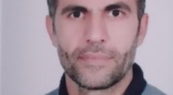حمید شفیعی