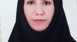 شهناز امیری