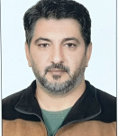 وحید بیوته